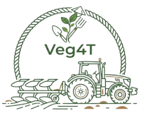 Veg4T Logo