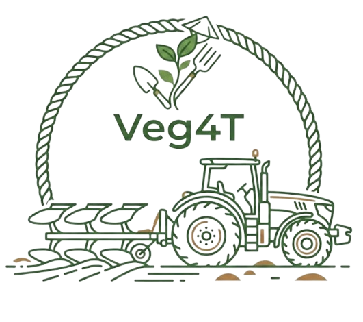 Veg4T